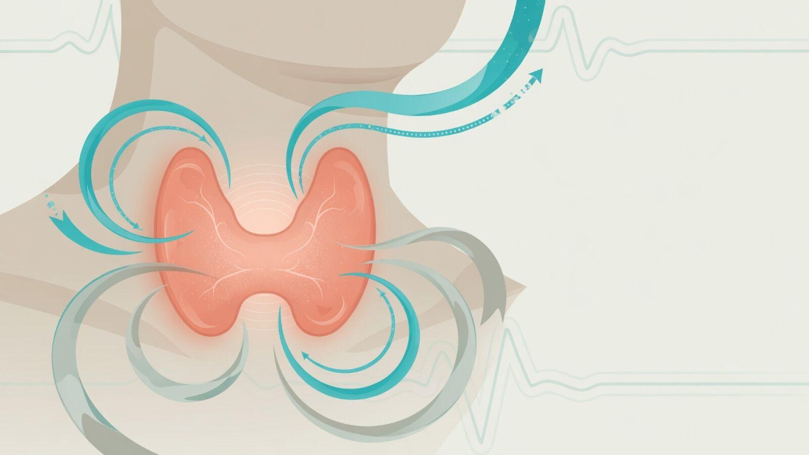 Alcohol and Thyroid: How Drinking Disrupts TSH and Recovery