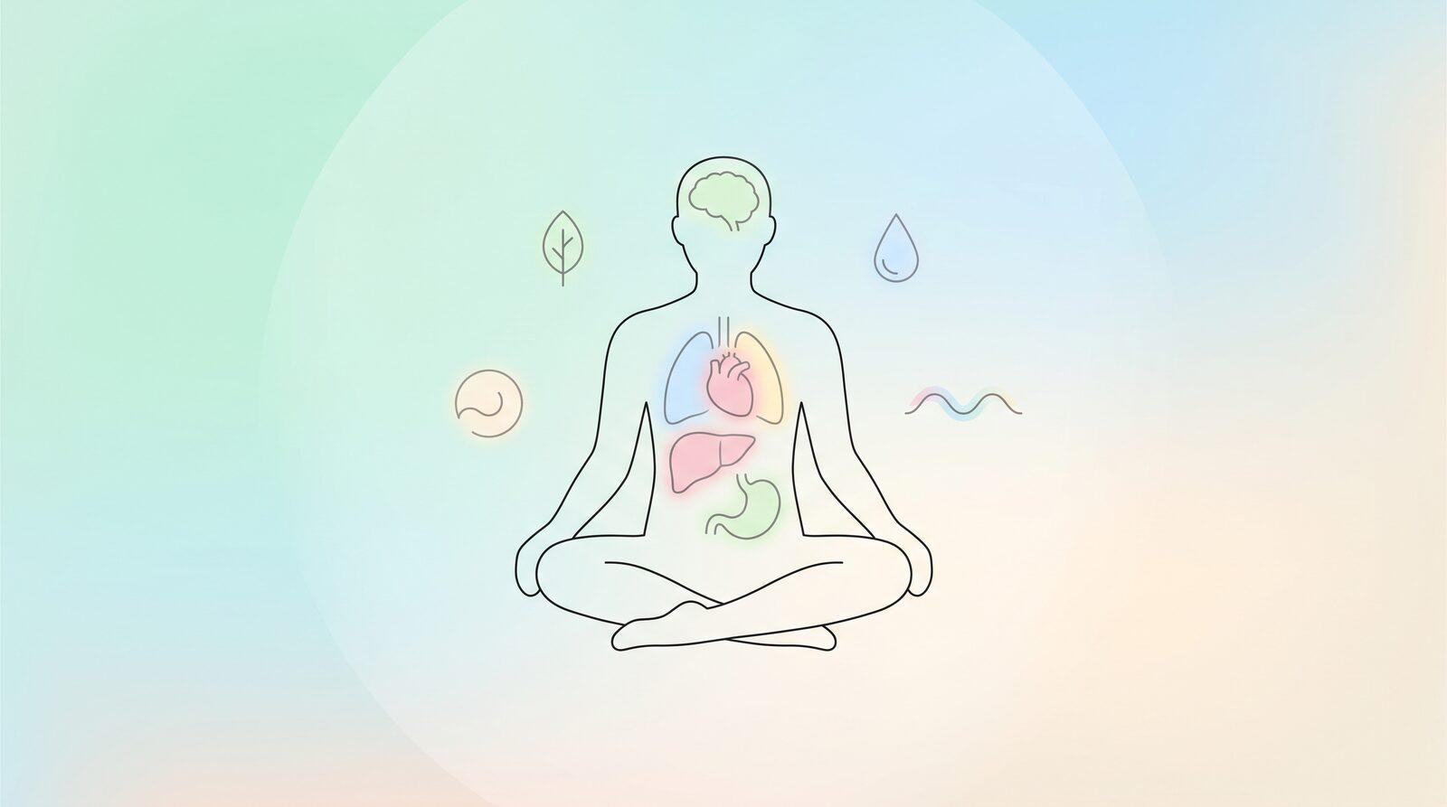 Health Benefits of Quitting Alcohol: An Organ-by-Organ Recovery Map