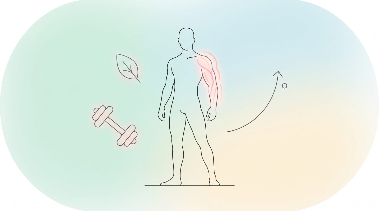 Alcohol and Muscle Growth: Gains, Recovery, and Quitting